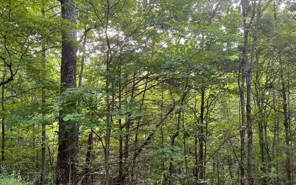 LOT 13 Preserve At Beach Mountain, Brasstown, NC 28902
