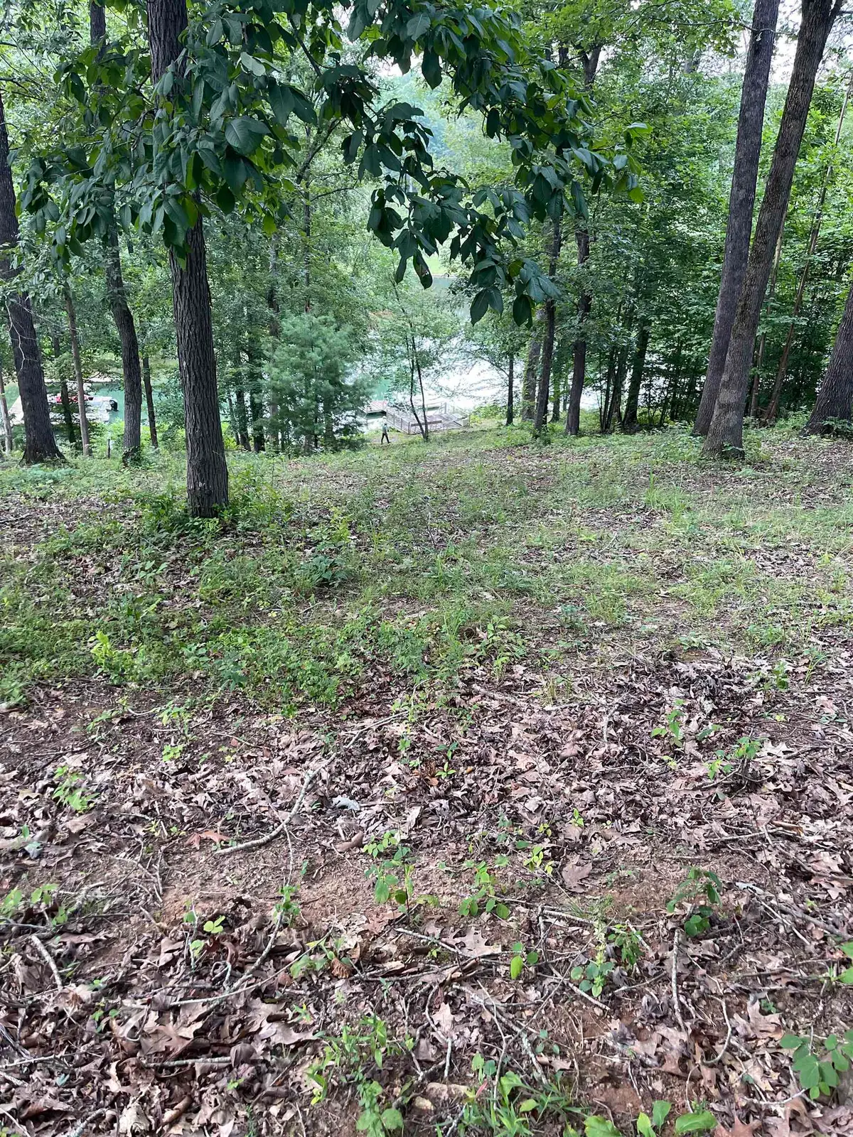 #4 Chatuge Cove Greens, Hayesville, NC 28904 - Image #1