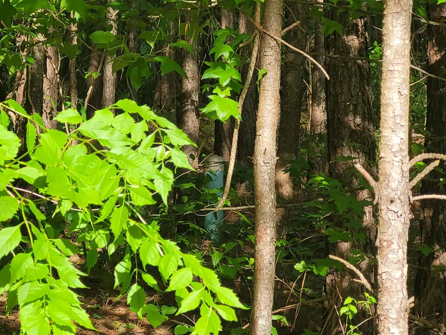 7126 Browns Mill Road, Lithonia, GA 30038 - #3