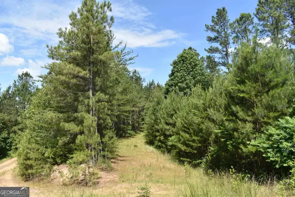 0 Nickelsville Road, Ranger, GA 30734