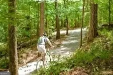 14 Firefly Run, Lagrange, GA 30240 - Image #3