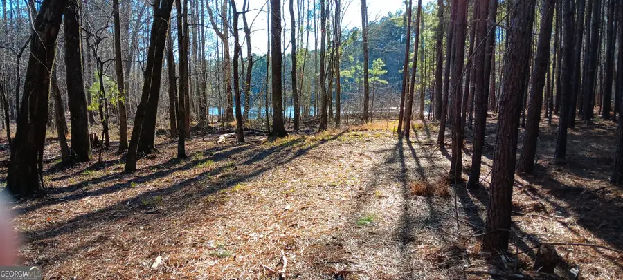 TRACT D Cedardale Drive/sweetbriar Lane, Griffin, GA 30224 - Image #3