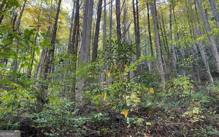 TR 1 Tusquittee Road, Hayesville, NC 28904 - Image #3