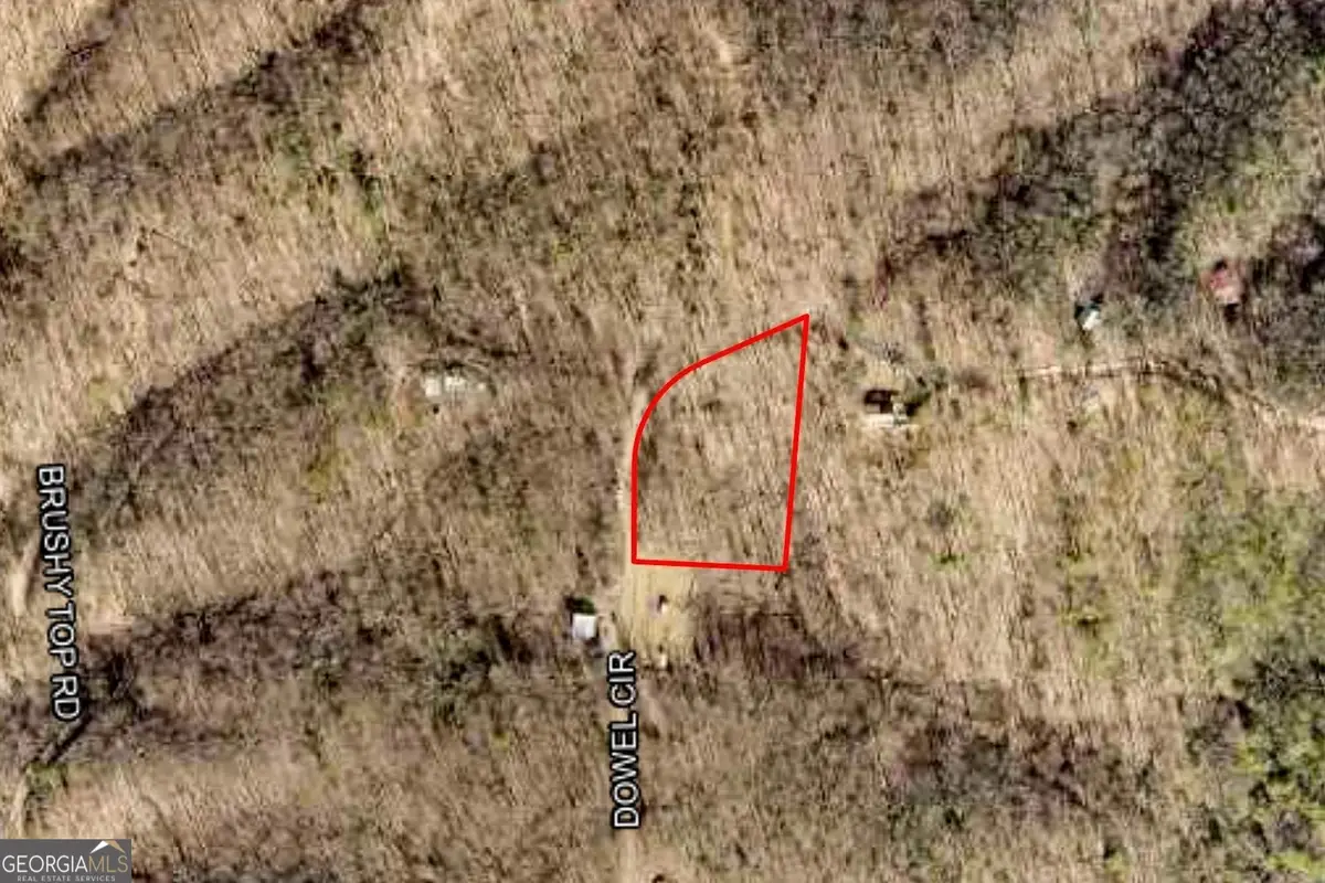 LOT 217 Dowel Circle, Ellijay, GA 30540 - Image #1