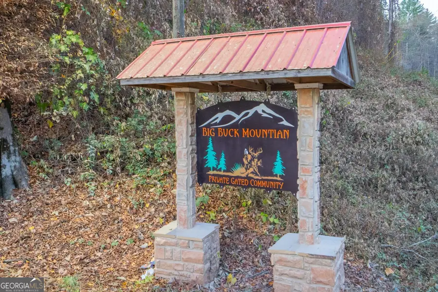 LOT 217 Dowel Circle, Ellijay, GA 30540 - Image #2
