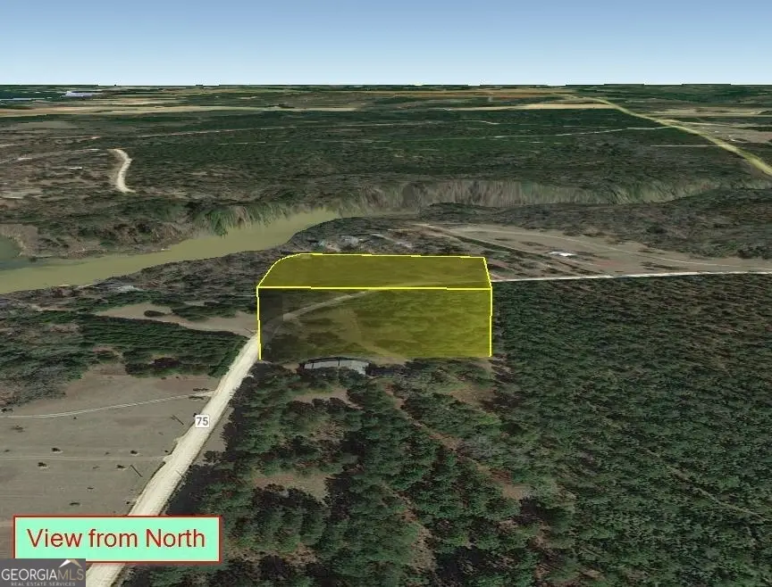 LOT 1 Jenny Lynn Lane, Fort Gaines, GA 39851 - Image #2