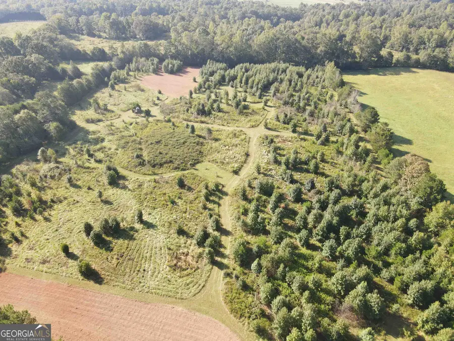 1650 Campground Road, McDonough, GA 30252 - #3