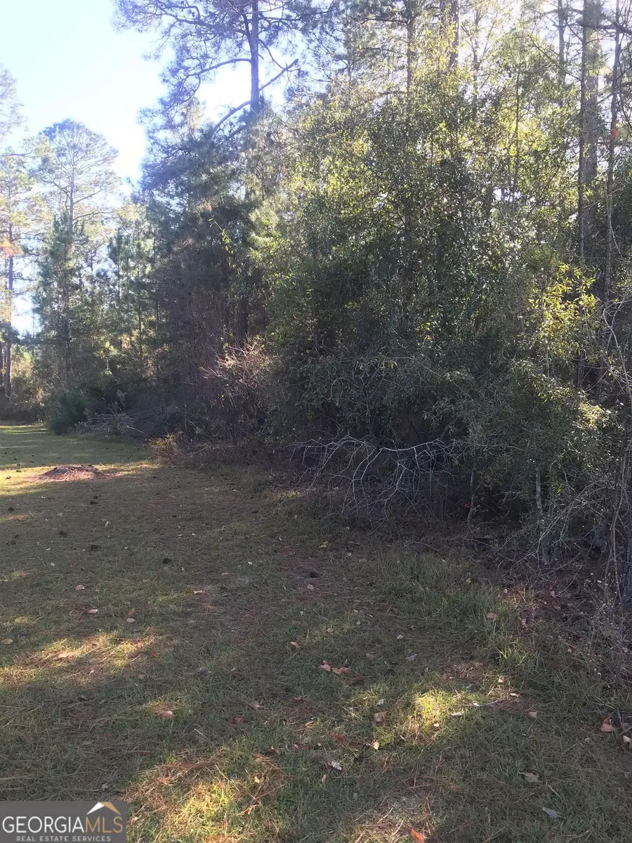 0 Eagles Nest Circle, Eastman, GA 31023 - Image #3