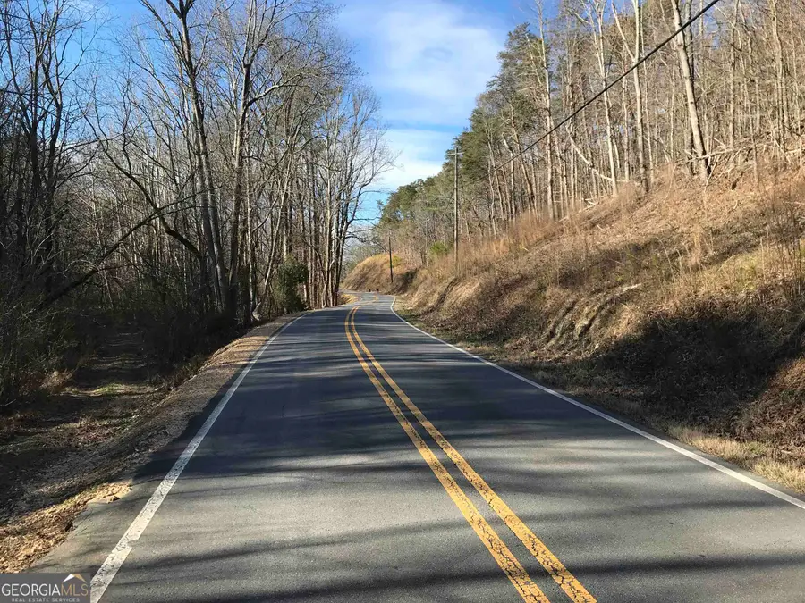 0 Liberty Church Road #9615, Ranger, GA 30734 - Image #3