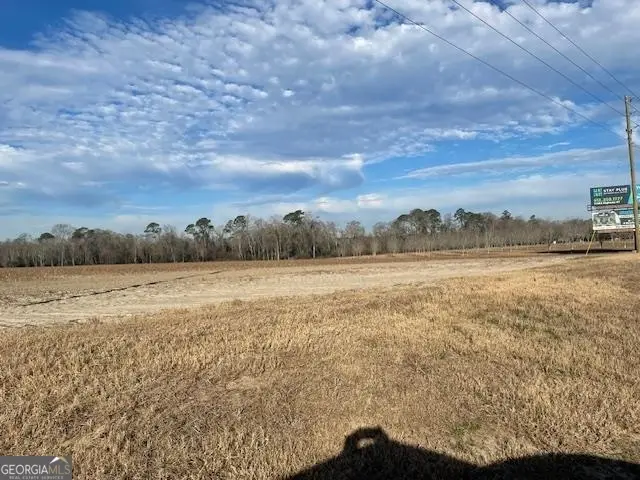 0 S Hwy 301, Register, GA 30452 - Image #3