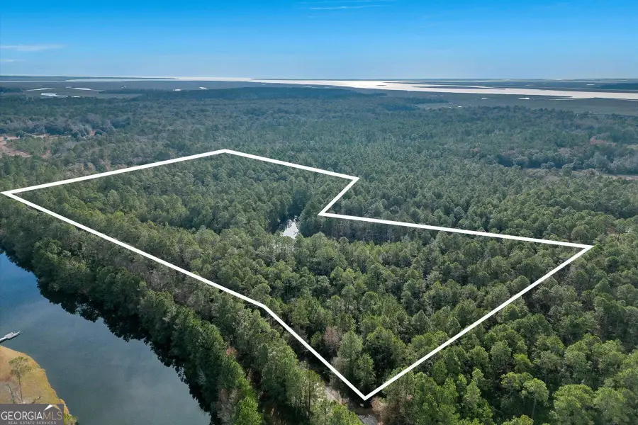 0 Steeple Chase Lane, Richmond Hill, GA 31324 - #3