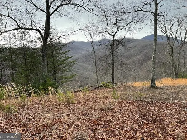 LOT 137 Shiloh Ridge, Hayesville, NC 28904