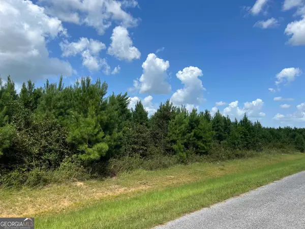 LOT 7 Whitfield Road, Elko, GA 31025