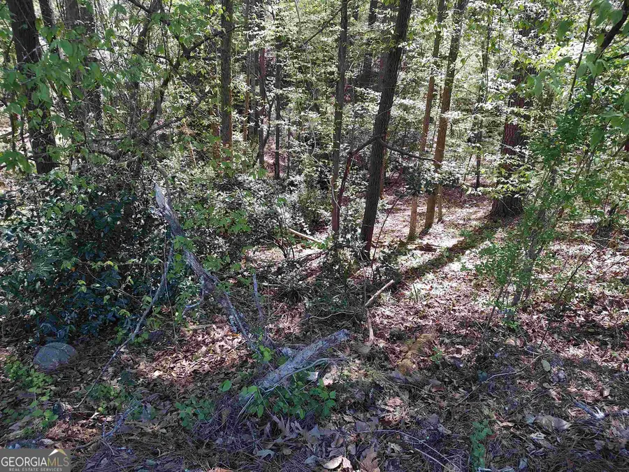 1987 Long Ridge Drive, Macon, GA 31211 - Image #3