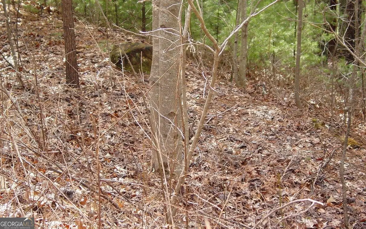 #10 Spaniard Point Road, Hiawassee, GA 30546 - Image #1