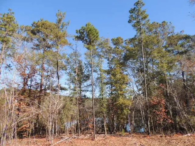 0 Mountain Drive #TR 1, Hamilton, GA 31811 - Image #2