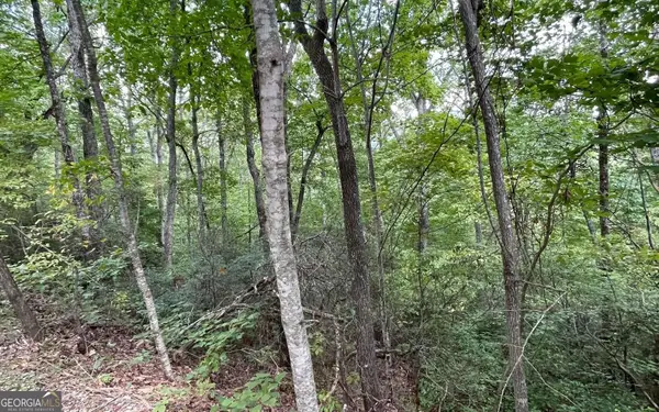 LOT 20 Enchanted Ridge Ridge, Hayesville, NC 28904