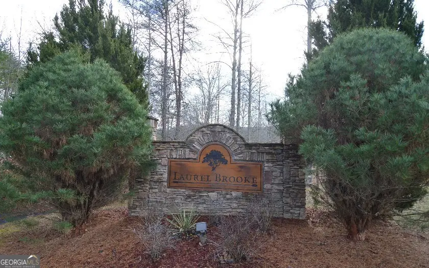 LOT 48 Laurel Brooke, Blairsville, GA 30512 - #2