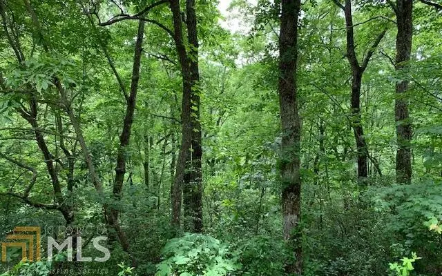 LOT 50A Eagles View, Hayesville, NC 28904 - Image #1