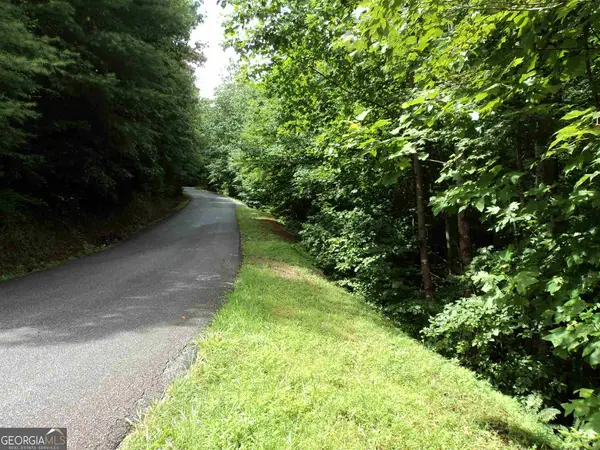 0 Smokey Hollow Drive #LOT 27, Dillard, GA 30537