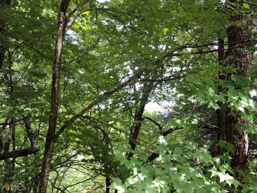 0 Smokey Hollow Drive #LOT 27, Dillard, GA 30537 - #2