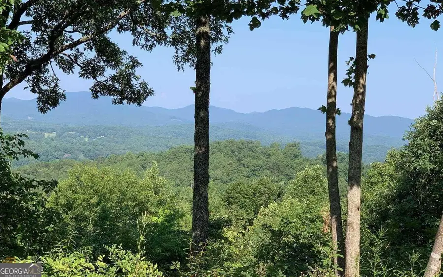 LOT 7 Golden Oak Estates, Warne, NC 28909 - Image #2