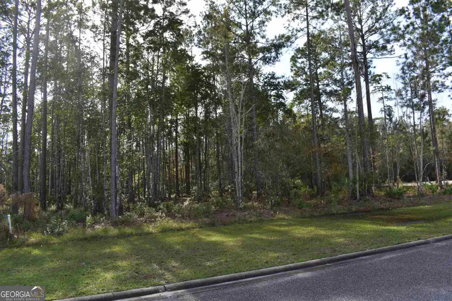 104 Baiter Court, Saint Marys, GA 31558 - #3