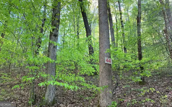 LOT 44 Fires Creek Cove, Hayesville, NC 28904