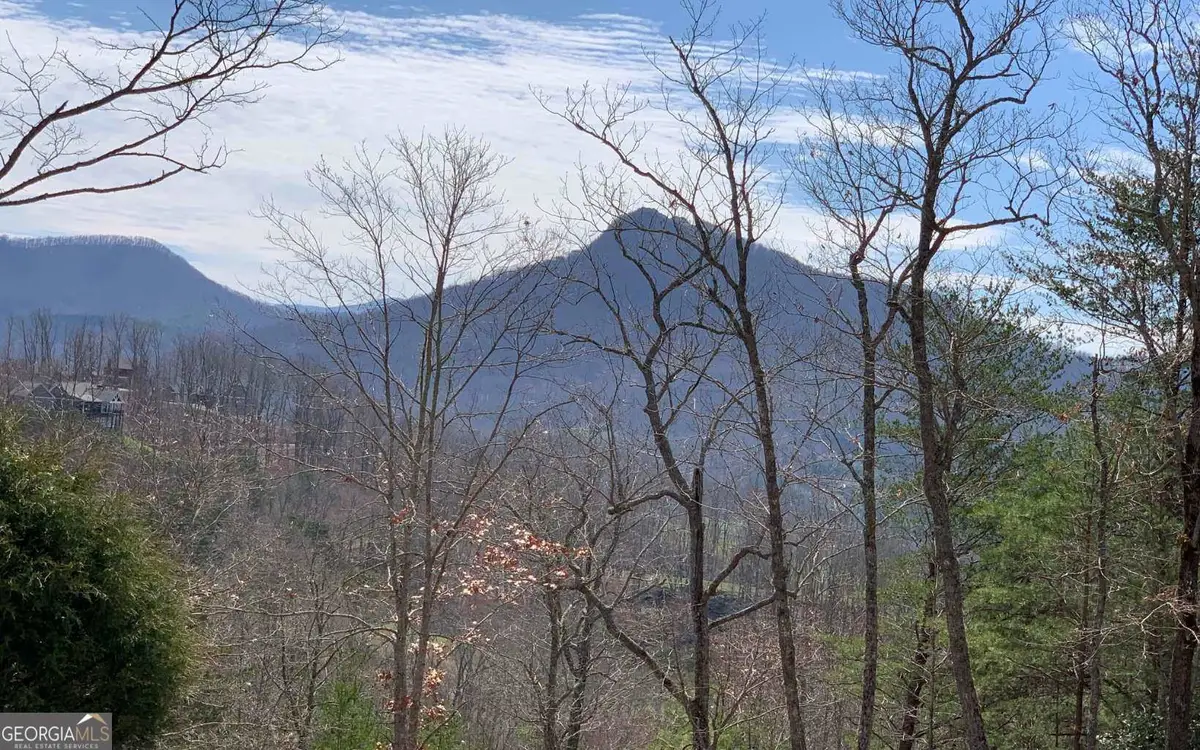 LOT 42 Dan Knob, Hayesville, NC 28904 - Image #1