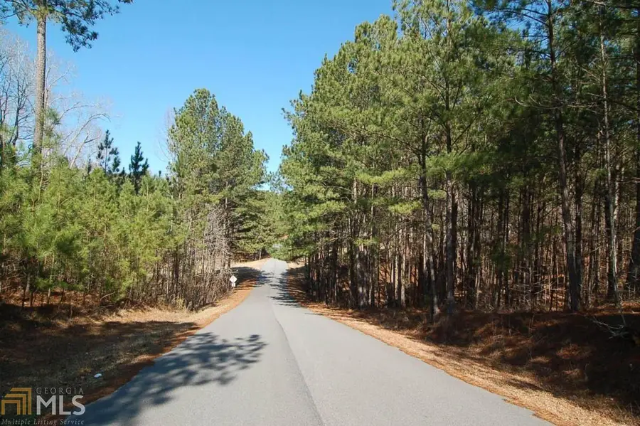 1480 Pullman Lane, Greensboro, GA 30642 - #2