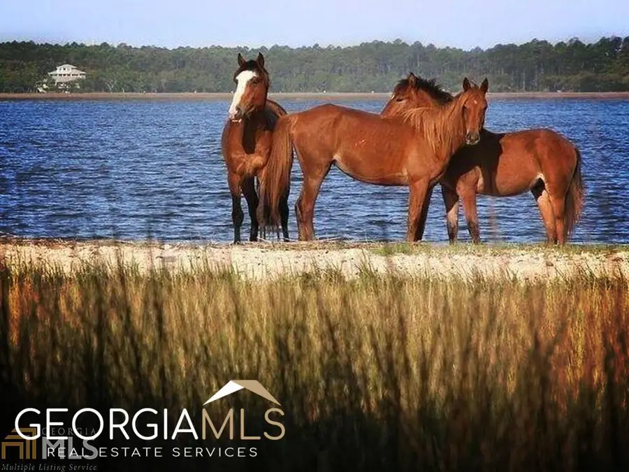 306 Teather Drive, Saint Marys, GA 31558 - #2