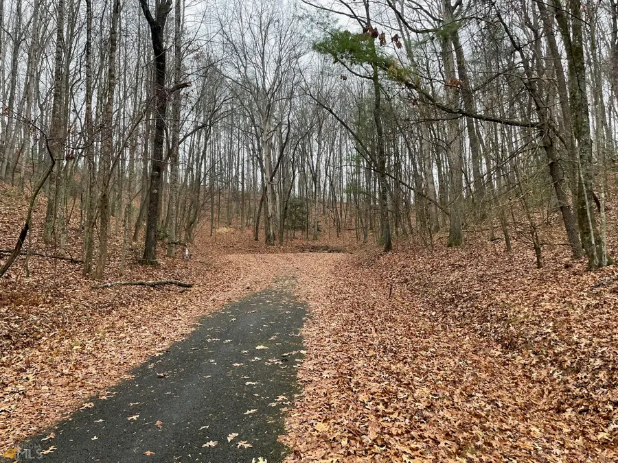 0 Walhalla Court #LOT 387, Ellijay, GA 30540 - Image #2