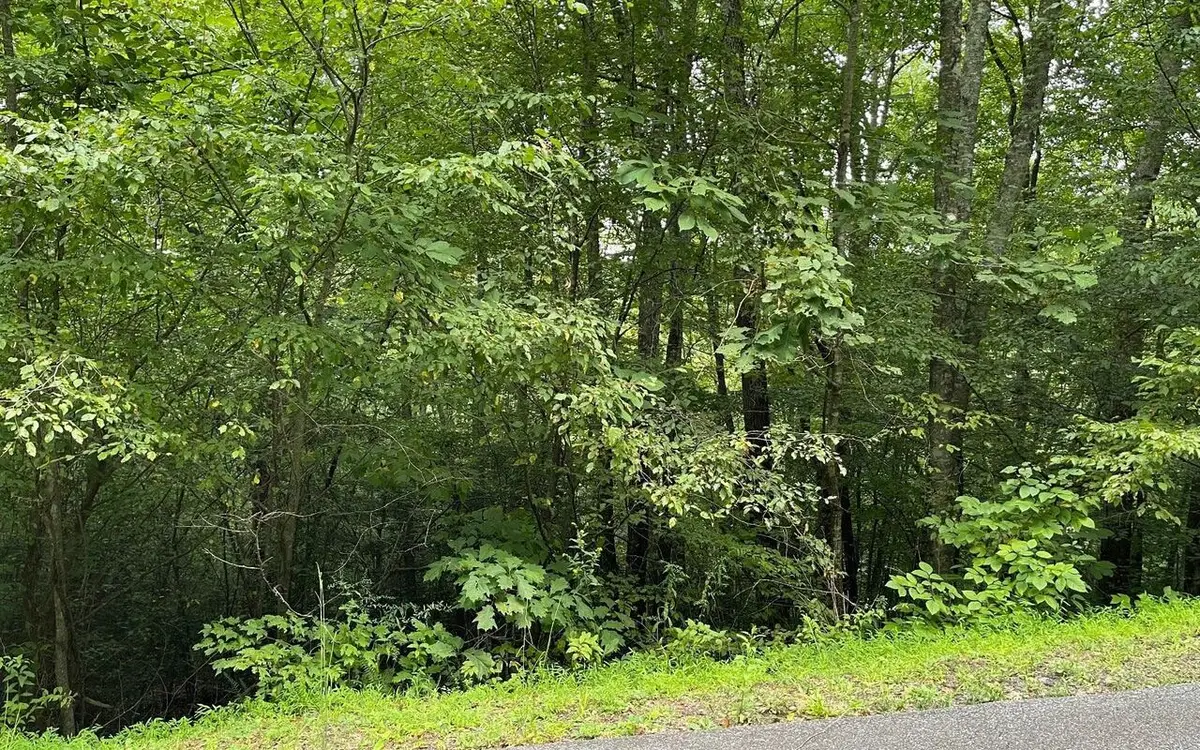 LOT 7 Bear Trail, Hiawassee, GA 30546 - Image #1