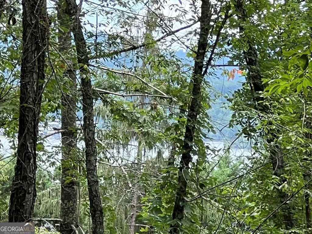 LOT 1 Buena Vista Drive, Hayesville, NC 28904 - Image #1