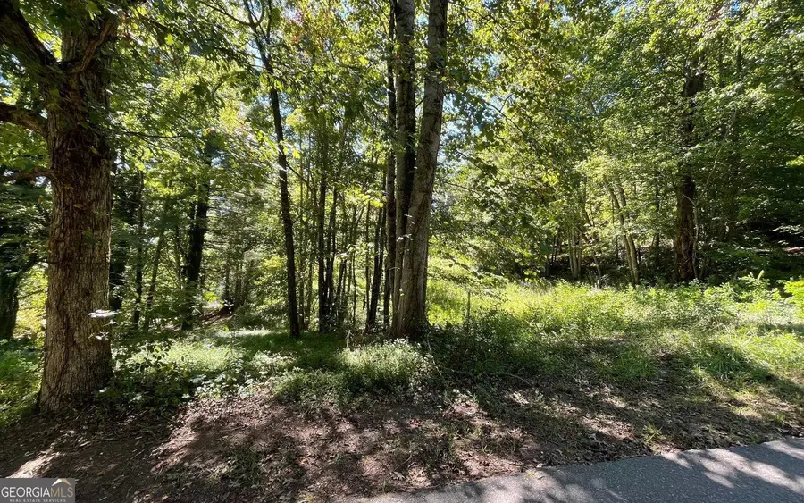 LOT 1 Buena Vista Drive, Hayesville, NC 28904 - Image #2