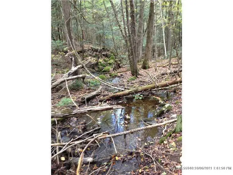 3 Kolm Lane, Garland, ME 04939 - Image #3