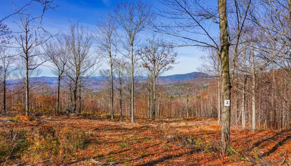 Lot 2 Mine Road, Stoneham, ME 04231