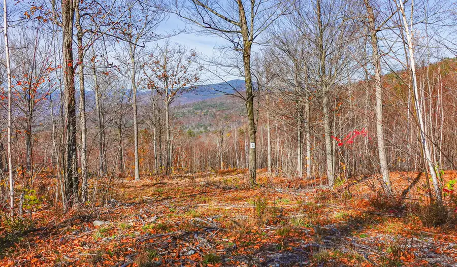 Lot 2 Mine Road, Stoneham, ME 04231 - Image #2