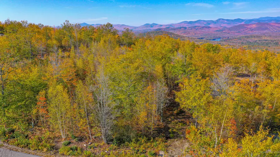 Lot 2 Mine Road, Stoneham, ME 04231 - Image #3