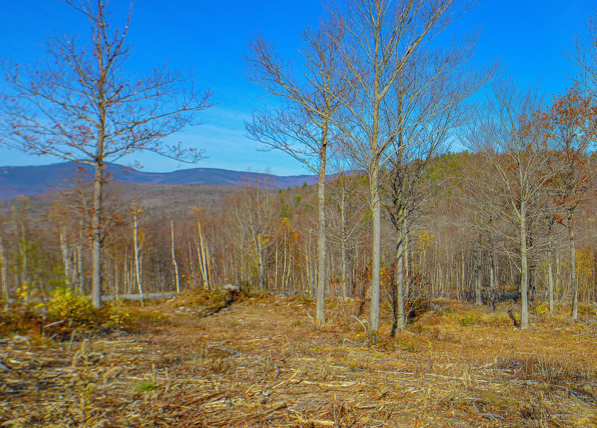 Lot 13 Mine Road, Stoneham, ME 04231 - Image #1