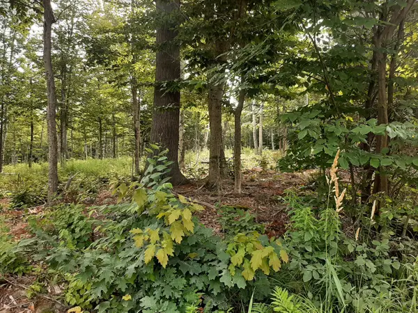 Lot 3 Ohio Street, Glenburn, ME 04401