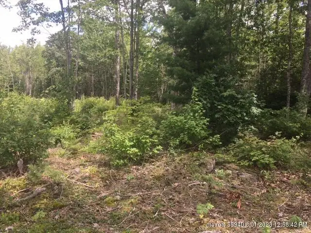 00 Bucksport Road, Ellsworth, ME 04605 - Image #2