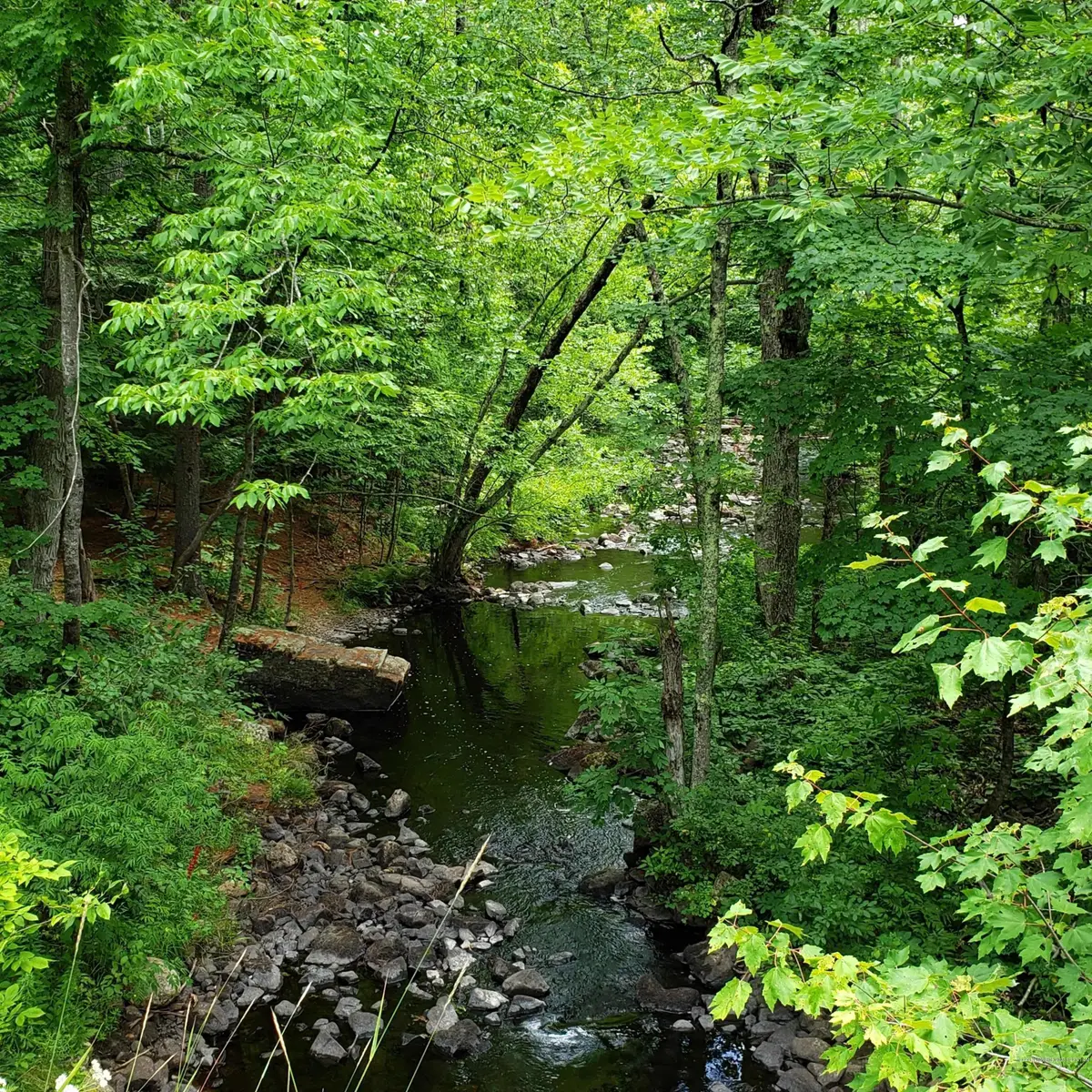 0 Stone Hill Road, Limerick, ME 04048 - Image #1