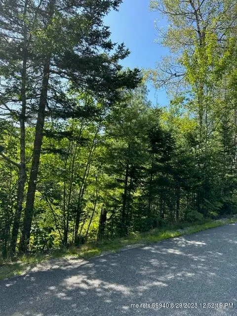 RT 200 Eastbrook Road, Eastbrook, ME 04634 - Image #2