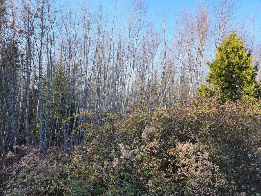 35 Trout Brook Lane, Searsport, ME 04974 - Image #2