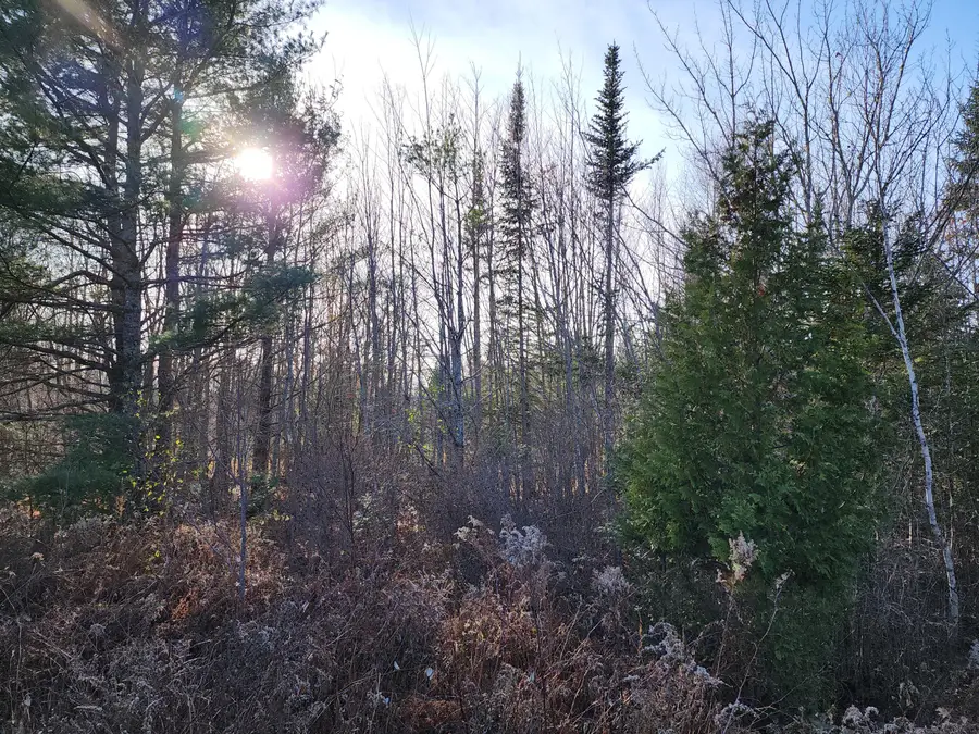 35 Trout Brook Lane, Searsport, ME 04974 - Image #3