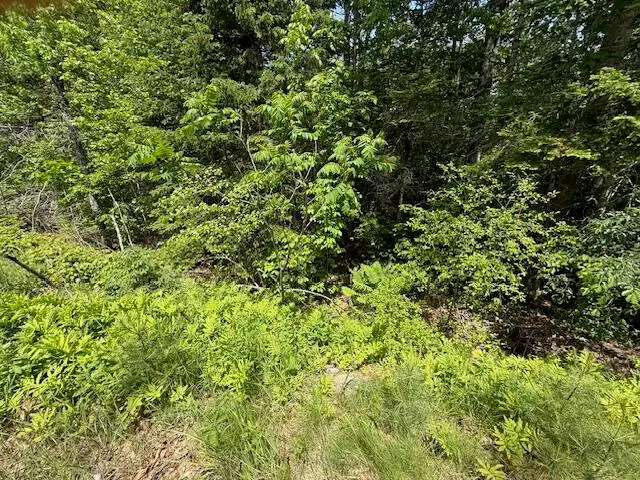 00 Moosehorn Drive, Bucksport, ME 04416 - Image #3