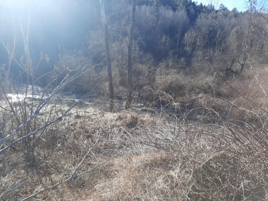 214 Mount Vernon Avenue, Augusta, ME 04330 - Image #3