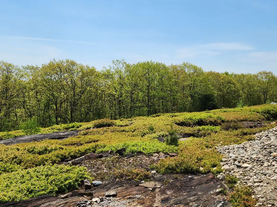 4 Whispering Berries Hill, Liberty, ME 04949 - Image #3