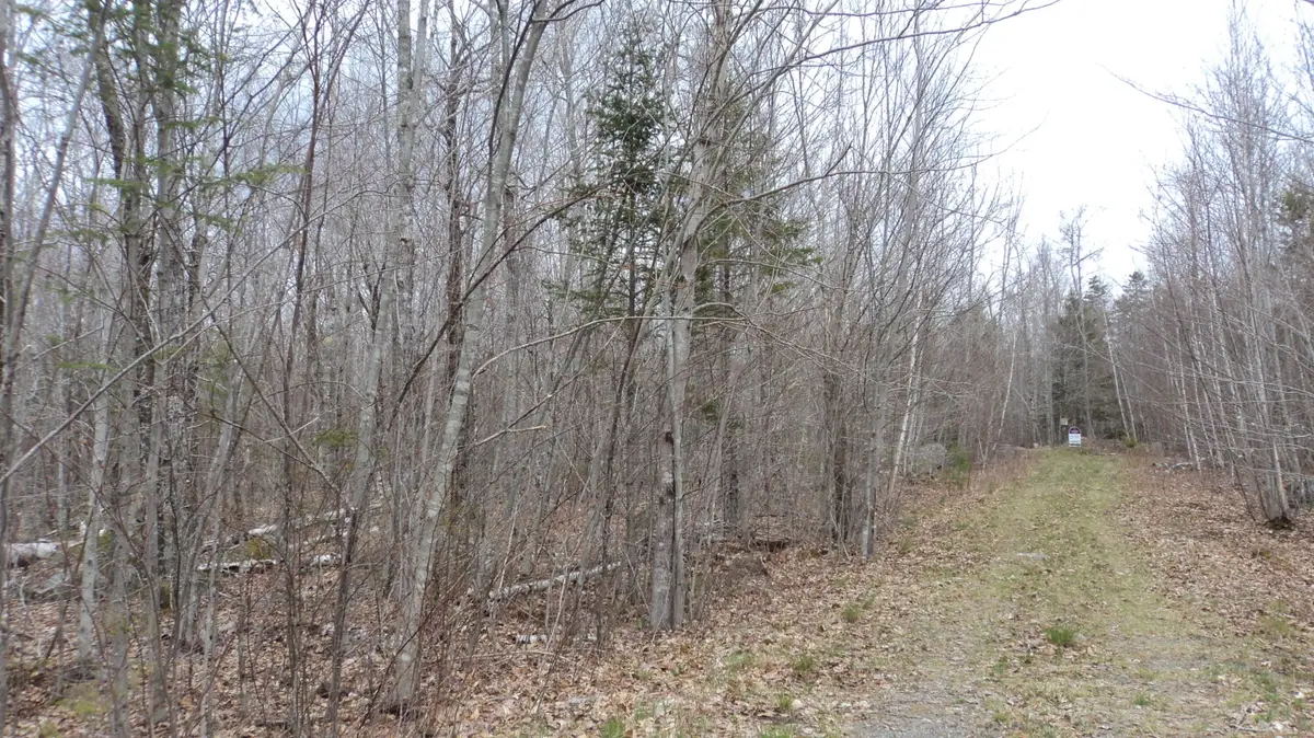 00 Green Lake Road, Dedham, ME 04429 - #1